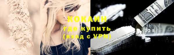 шишки Верхний Тагил