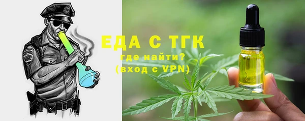 шишки Верхний Тагил