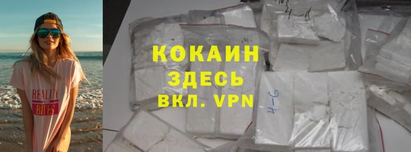 шишки Верхний Тагил