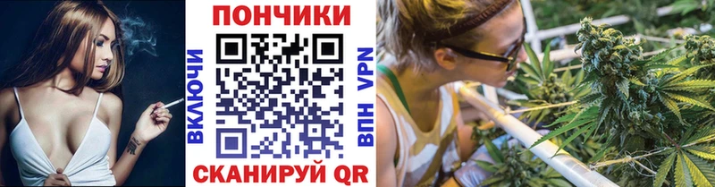 Каннабис VHQ  сколько стоит  Вытегра 